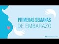 Primeras semanas de embarazo | El embarazo semana a semana