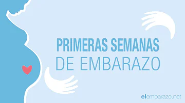 ¿Cómo son las 3 primeras semanas de embarazo?