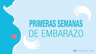 Primeras semanas de embarazo | El embarazo semana a semana