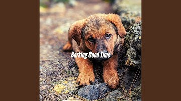 Pulsating Ambience for Chilling Your Pup