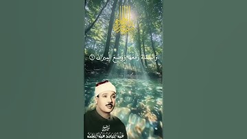 سورة الرحمن بصوت يَبكي القلوب | عبد الباسط عبد الصمد