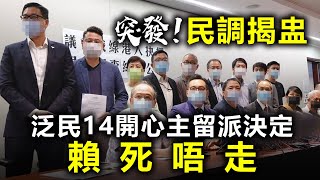 20200929I【突發】民調揭盅，泛民14開心主留派決定賴死唔走  |  芒向快報