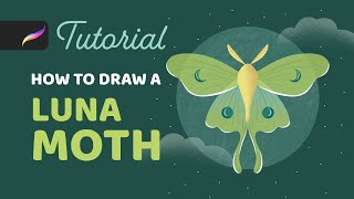 How to Draw a Luna Moth in Procreate using the Symmetry Tool