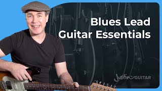 Essential Blues Lead Guitar. The Best Blues Guitar Lessons! screenshot 2