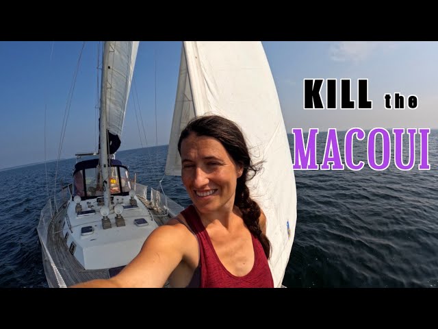 Shake Down SAIL to Beckwith Island & Kill the Macoui [E272]