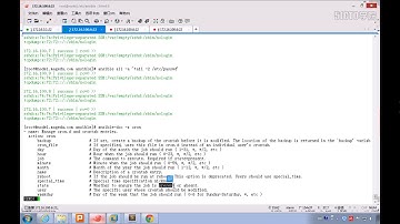 最新Ansible Dev ops自动化视频 -- 6 ansible命令应用基础
