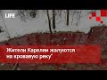 Жители Карелии жалуются на "кровавую реку"
