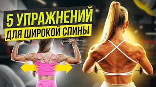 видео: 5 упражнений для широкой спины. Тренировка в зале. картинка: 5 упражнений для широкой спины. Тренировка в зале.
