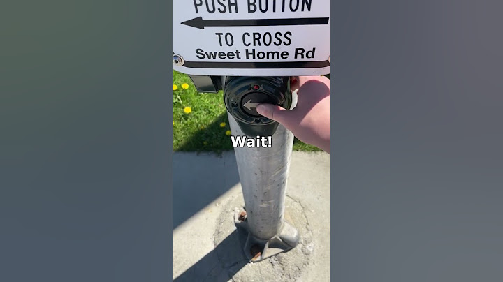 Getting Yelled at by a Crosswalk