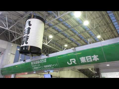 小田原駅発車メロディー「お猿のかごやC」 #jr東日本 #東海道線 #発車メロディー