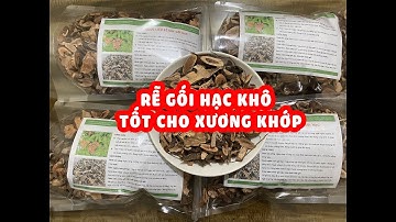 Rễ cây gối hạc khô - Vị thuốc tốt cho xương khớp. Mua rễ gối hạc ở đâu, cách sử dụng rễ cây gối hạc