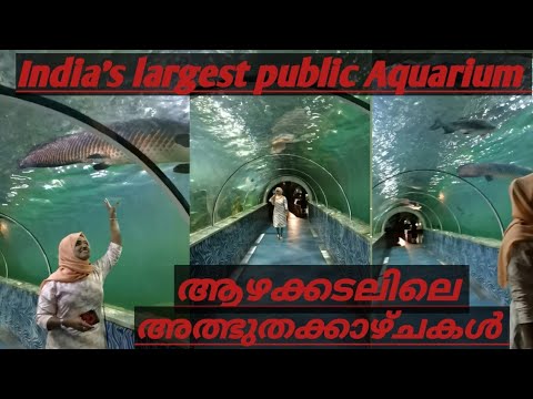 Marine world. chavakkad./Marine world public Aquarium.India's largest