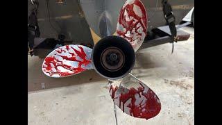 CATFISH SURVIVES SEVERE INJURY FROM BOAT PROPELLER!!