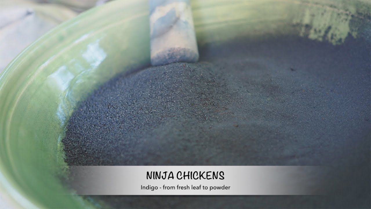 Indigo from fresh leaves to powder YouTube