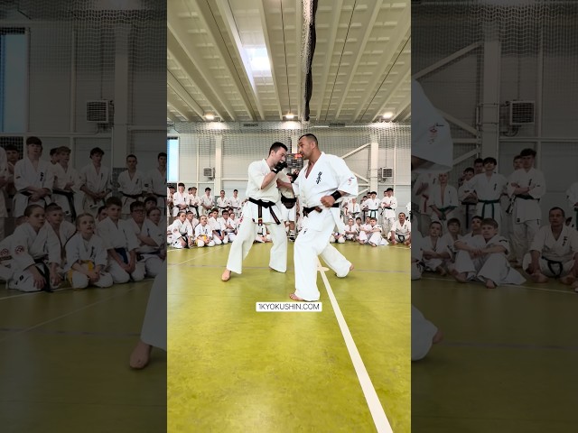 Baltic Fighting Camp 2026 #kyokushin #shinkyokushin #karate #1kyokushin #一極真 #極真会館