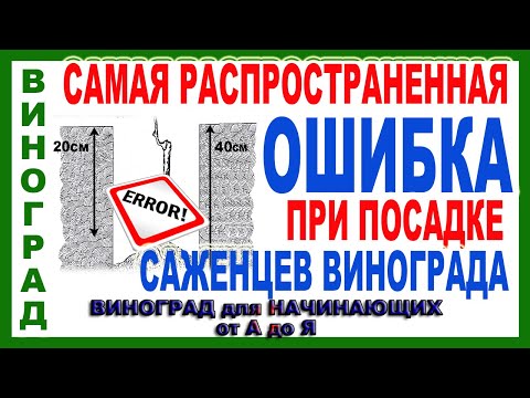 🍇  Эту ошибку при посадке винограда невозможно затем исправить. Посадка саженцев винограда.