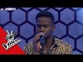 Intgrale fulbert audition  laveugle thevoiceafrique francophone 2017