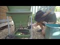 Harvesting worm castings from your Hungry Bin