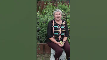 Какие томаты полезнее красные или жёлтые ?  🍅