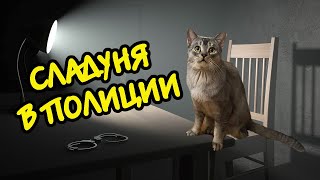 КОТА БЕЗ ЛАПКИ ХОТЯТ ПОХИТИТЬ | ОБРАТИЛСЯ В ПОЛИЦИЮ