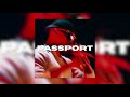 [+6 FREE] "PASSPORT" - Dark Melodic Loop Kit (Werenoi, Simba La Rue, Jordymone9)