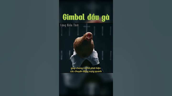 Vì sao đầu gà có thể đứng im như một chiếc Gimbal? | Cộng Kiến Thức Shorts