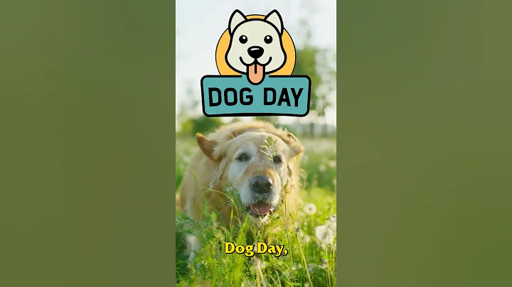 Fleas, Mosquitoes, and Ticks… what kind of pests affect dogs? #dog