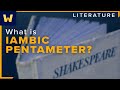 Understanding Shakespeare's Verse