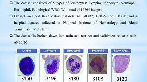 NaBIC 2020 paper 18: Automatic white blood cell classification using the combination of CNN and SVM