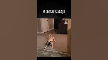 TERRIFYING Skin Walker Mimic Videos You Can