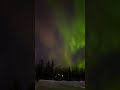 #northernlights @aurora #murmansk #snow #auroravillage видео северного сияния март Aurora Borealis