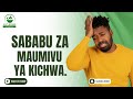 Sababu Za Maumivu Ya Kichwa Mara Kwa Mara Ufafanuzi Wa Kisayansi
