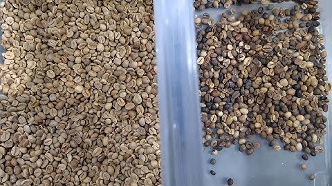 Green coffee bean color sorter/color sorting machine/color sortex machine