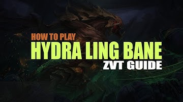 SC2 Zerg Tutorial: Hydra Ling Bane | ZvT Guide