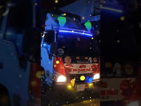 Video Màn biểu diễn Kèn ong vàng ????, kèn baby shark, kèn... - youtube
