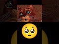 #cat #edit