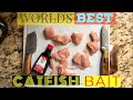 Worlds Best Catfish Bait | Chicken Breast & Anise