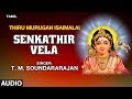 Senkathir vela song  tm soundararajan  lord murugan tamil devotional songs