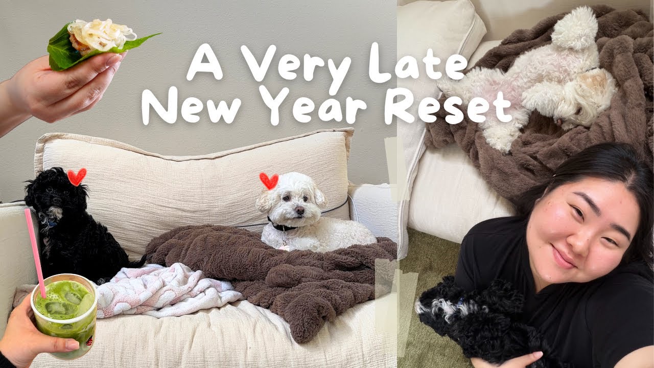 Reset Vlog | organizing & cleaning, dog mom of two, late new year reset