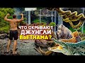 ОПАСНЫЙ ВЬЕТНАМ: треккинг к затерянному водопаду через джунгли... Это вам не Нячанг!