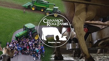 The Robotic Dairy that has Mastered Farm Tourism