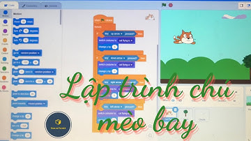 Lập trình chú mèo bay