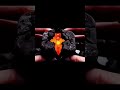 Eating Lava#Babalisweet#shorts#eating#Lava