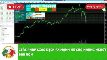Giải pháp EA ROBOT FOREX mạnh mẽ cho những người bận rộn
