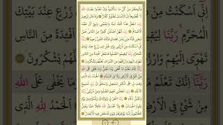 Kuran 259.Sayfa - İbrahim Suresi 6.Sayfa