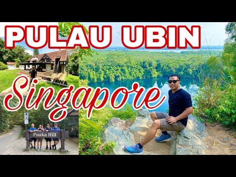 PULAU UBIN | Travel Guide & How to get there?!