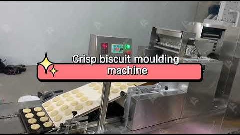 2024 Fully Automatic Biscuit Making Machines Soft Biscuit Making Machine