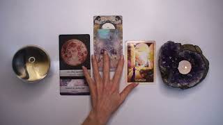 LEO JIT by Wild Lotus Tarot 1,434 views 2 days ago 9 minutes, 18 seconds