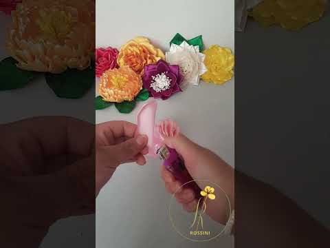 peonias eternas