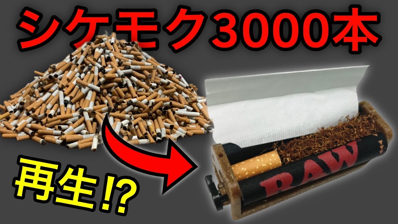 【ヤニカス必見】シケモク3000本でタバコは何本再生できるのか!美味しいシケモクの吸い方も検証! - YouTube